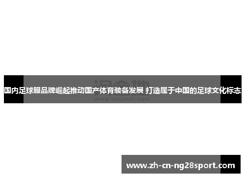 国内足球服品牌崛起推动国产体育装备发展 打造属于中国的足球文化标志