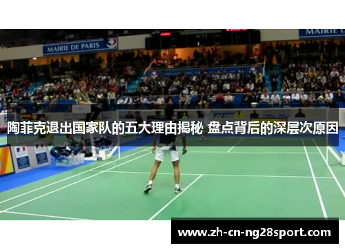 陶菲克退出国家队的五大理由揭秘 盘点背后的深层次原因